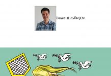 İsmet HERGÜNŞEN; Hedefteki Ülke