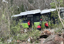 Kocaeli’nde belediye otobüsü şarampole uçtu; Çok sayıda yaralı var