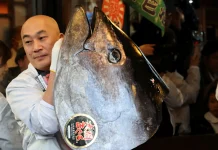 Tokyo’da mavi yüzgeçli orkinos açık artırmada 3,2 milyon dolara satıldı