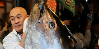 Tokyo’da mavi yüzgeçli orkinos açık artırmada 3,2 milyon dolara satıldı