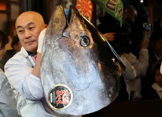 Tokyo’da mavi yüzgeçli orkinos açık artırmada 3,2 milyon dolara satıldı