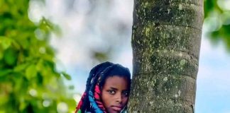 3 gün boyunca bir ağaca sarılarak Guinness Dünya Rekoru’nu elde etti.