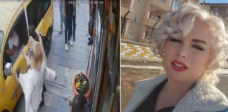 🎥Köpeği ezen taksicinin görüntülerini paylaşmıştı. Hapis cezası alan ‘Mardinli Marilyn Monroe’ cezaevine teslim oldu