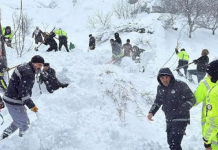 Van’da mahalleye çığ düştü 22 ev boşaltıldı. 1 kişi hayatını kaybetti