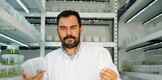 Diş otu bitkisinden kırışıklık giderici krem