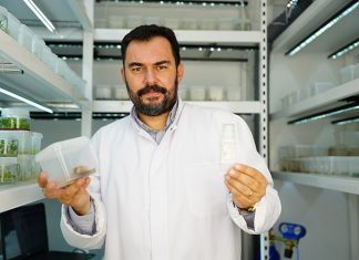 Diş otu bitkisinden kırışıklık giderici krem