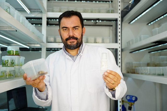 007_2025_03_Ekim_26_Ekim_17_20251009_2_71130270_117897052