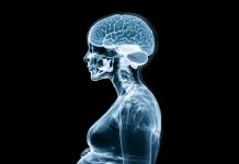 ARAŞTIRMA: İkinci hamilelik, annenin beynini çok çocuklu ebeveynliğe yeniden programlıyor.