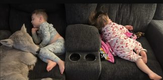 Uyusun da büyüsün meöö…