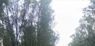 🎥 İzmir’deki duatlon yarışında sporcular arasına bir kuzu karıştı. Adeta parkuru birinci bitirmek için depar atan kuzu büyük alkış alsa da yarışma dışına çıkarılmaktan kurtulamadı.