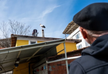 🎥Eşi Nazlı geldi, Yaren’i bekliyoruz…