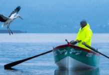 Eşi Nazlı ve Adem amcayı fazla bekletmedi. ‘Yaren Leylek’ 15. yılda da Karacabey’de…