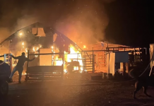 Çiftlikte Yangın Faciası! Yüzlerce hayvan can verdi