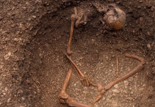 Fransa’daki bu keşif şaşkına çevirdi; Antik Galyalılar oturur vaziyette gömülmüş!