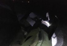 Hatay’a mühimmat düştü !