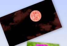 Pembe Dolunay yarın baharı müjdeleyecek! Zor da olsa bu Doğa olayı Türkiye’den de izlenebilecek.