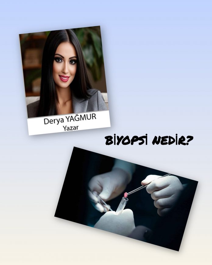 InShot_20260405_203949413