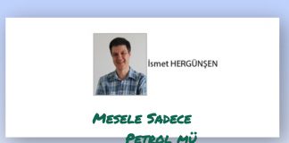 İsmet HERGÜNŞEN; Saldırının kodu: Petrol mü?