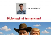 İsmet HERGÜNŞEN; Ateşkes mi, oyun mu?
