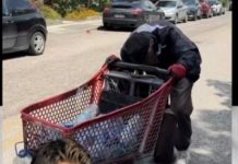 Başkanı olduğu belediyenin hizmetlerini denetlemek için dilencı rolü yapıp sokakta yaşadı.
