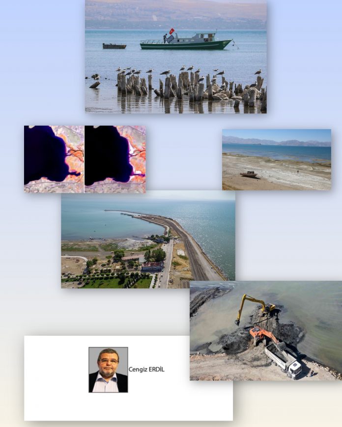 InShot_20260620_124542757