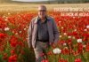Cengiz ERDİL; GELİNCİKLER, HAŞHAŞ VE ESKİŞEHİR…