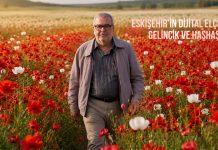 Cengiz ERDİL; GELİNCİKLER, HAŞHAŞ VE ESKİŞEHİR…