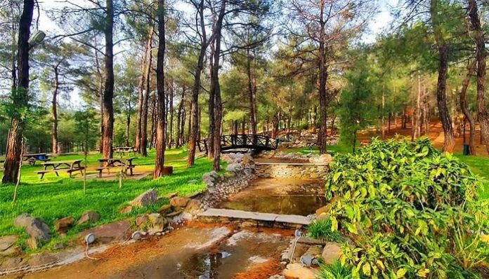 istanbul orman piknik mesire
