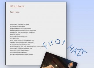 🎥 SÖYLEŞİ /Fırat HAZA /Şiir/ Öykü/ Buluntu Dergisi