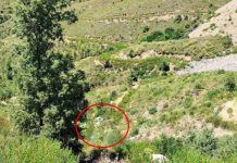 Alanya’da Katliam gibi kaza. Otomobil uçuruma yuvarlandı: 5 ölü, 2 yaralı