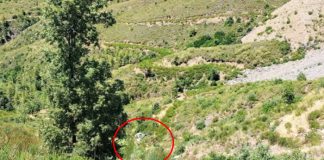 Alanya’da Katliam gibi kaza. Otomobil uçuruma yuvarlandı: 5 ölü, 2 yaralı