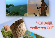 Cengiz ERDİL; ÇANAKKALE’NİN BİTMEZ DERDİ..