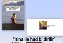 Füsun ALTINOK; Ödül ve Ceza Bağımlılığı