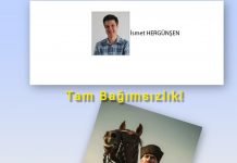 İsmet HERGÜNŞEN; Bağımsızlık iradesinin zaferi