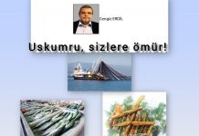Cengiz ERDİL; YOK OLAN BİR BALIĞIN ÖYKÜSÜ