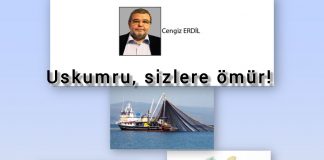 Cengiz ERDİL; YOK OLAN BİR BALIĞIN ÖYKÜSÜ