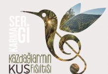 Kimi dozerlerle talan ediyor, kimi sanatla can veriyor; “Kaz Dağları’nın Fısıltısı Kuş Düşleri” Sergisi, açıldı.