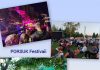 Cengiz ERDİL; BİR NEHİR FESTİVALİ