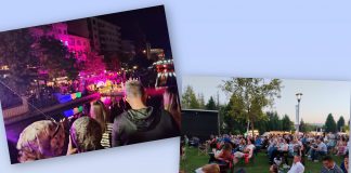 Cengiz ERDİL; BİR NEHİR FESTİVALİ