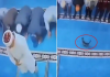 🎥Namaz sırasında kediyi tekmeleyen o cani gözaltına alındı