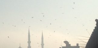İTÜ bir çalışma yaptı, İstanbul’da ilçelerin kirlilik oranı ortaya çıktı.