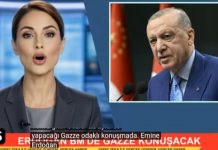 🎥 Yapay zeka kanalı EN5 TV yayında