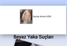 Zeynep Nurten UZER; Beyaz yaka suçlarının nedeni; Aç gözlülük