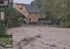 🎥 Son yılların en şiddetli yağışı sonucu taşan dere Sapanca’da korku filmini aramayan yıkıma yolaçtı. Bungologlar da tehdit altında.